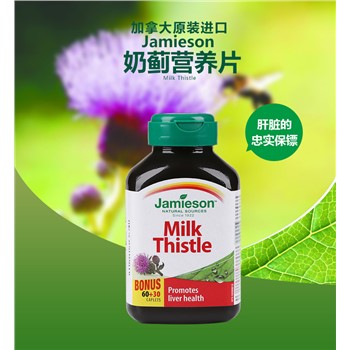 【加拿大直邮】健美生/ Jamieson护肝片 奶蓟提取物精华片