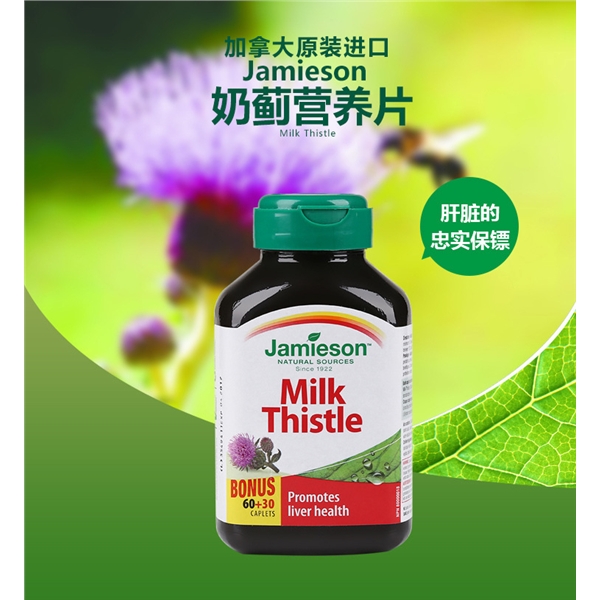 【加拿大直邮】健美生/ Jamieson护肝片 奶蓟提取物精华片